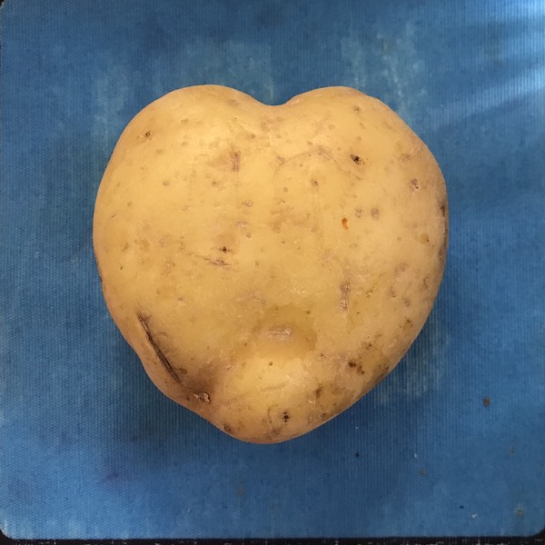 patata con forma de corazon