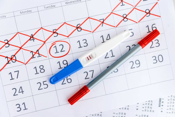 calendario tabla menstrual